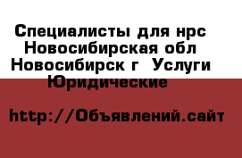 Специалисты для нрс - Новосибирская обл., Новосибирск г. Услуги » Юридические   